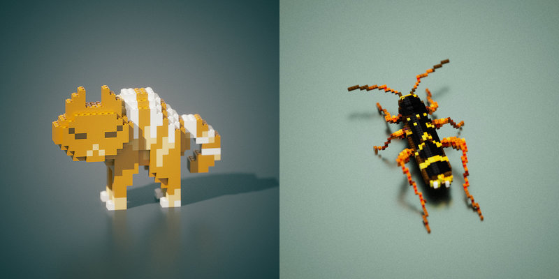 cat and clytus arietis in voxel